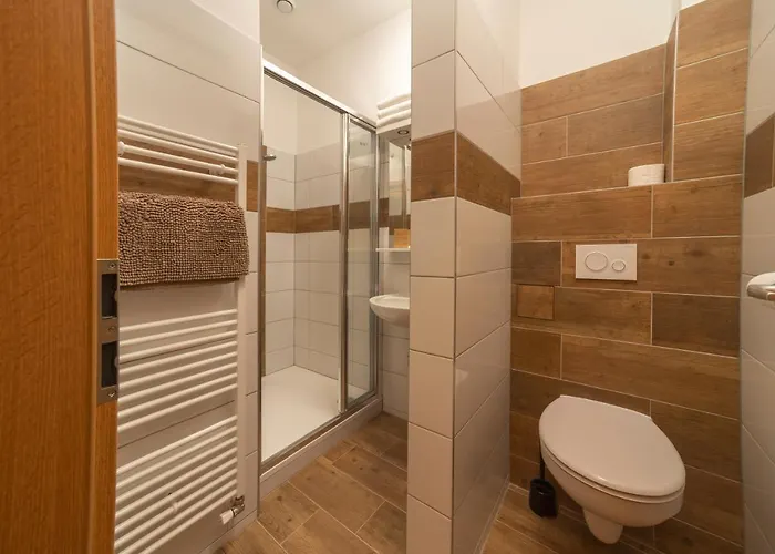 庄园酒店 3* Blovice