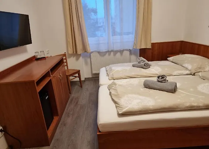 酒店 庄园酒店 Blovice