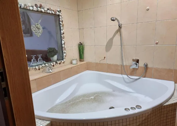 庄园酒店 Blovice
