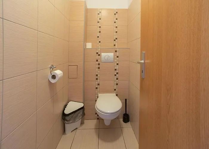 庄园酒店 3* Blovice