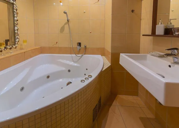 庄园酒店 3* Blovice
